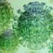 México con 141 muertes por coronavirus y 2 mil 785 casos confirmados
