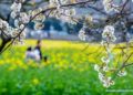 ¿A qué huele la primavera? Aquí una explicación científica