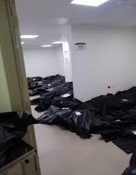 Coronavirus en Ecuador: el horror en Guayaquil, con más muertos que países enteros