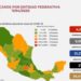 Suman 273 muertos y 4219 contagiados de coronavirus en México