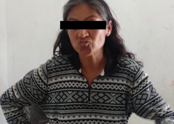 Mujer que deambulaba desnuda en Av. Los Pinos ya fue canalizada a instancia