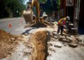Siguen obras de rehabilitación de drenaje en la capital