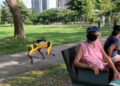 #Video Perros robóticos patrullan parques en Singapur para controlar distanciamiento social