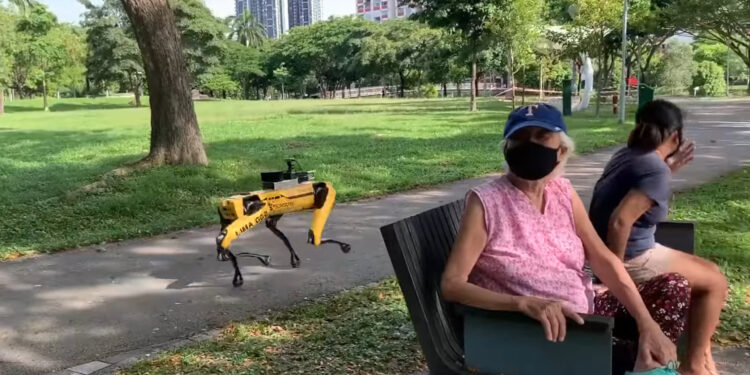 #Video Perros robóticos patrullan parques en Singapur para controlar distanciamiento social