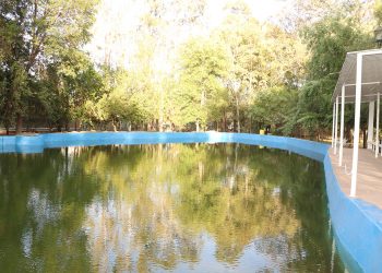 Inicia rehabilitación del lago del Parque Morales
