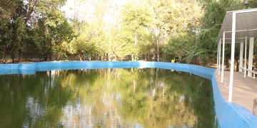 Inicia rehabilitación del lago del Parque Morales