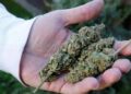 Diez detenidos por posesión de droga