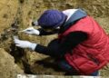Hallan los restos de los Homo sapiens más antiguos de Europa