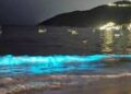 Playas de Acapulco brillan por el fenómeno de bioluminiscencia
