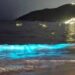 Playas de Acapulco brillan por el fenómeno de bioluminiscencia