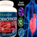 Probióticos, una guía imple para saber por dónde comenzar