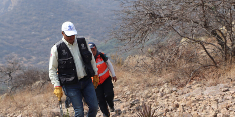 Protección civil ayuda a combatir incendios en Zona Media