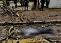 Anciana de 89 años sale a pasear en bici y le cae un árbol encima