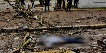 Anciana de 89 años sale a pasear en bici y le cae un árbol encima