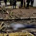 Anciana de 89 años sale a pasear en bici y le cae un árbol encima