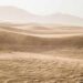 Polvo del Sahara llegará a México atravesando Atlántico