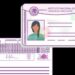 Así es cómo podrás tramitar las constancias digitales del INE