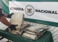 Decomisan pieles de cocodrilo en San Luis Potosí
