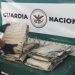 Decomisan pieles de cocodrilo en San Luis Potosí