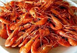 Veda de camarón 2020 comienza en el Golfo de México y el mar Caribe