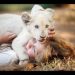 3 pelis sobre la conservación de especies salvajes que te encantarán