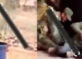 Emboscada de la familia michoacana elimina a 4 sicarios del CJNG