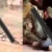 Emboscada de la familia michoacana elimina a 4 sicarios del CJNG