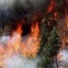 Disminuyen 40% los incendios forestales en México