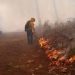70 incendios forestales activos en 15 estados: Conafor