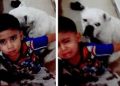 #Video “No le pegues porque es como mi hermanito”: Niño defiende a su perrito de su mamá