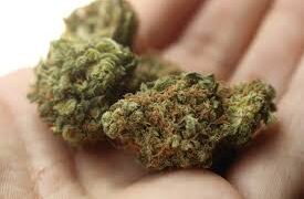 En las Mercedes fue interceptado con marihuana