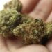 En las Mercedes fue interceptado con marihuana