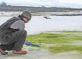 La costa de la Antártida está «verde» debido al cambio climático