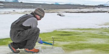 La costa de la Antártida está «verde» debido al cambio climático