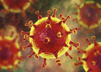 Encuentran posible punto débil en el interior del coronavirus