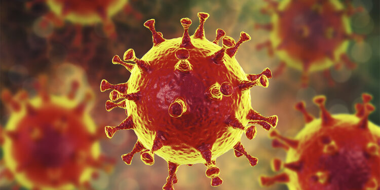Encuentran posible punto débil en el interior del coronavirus