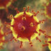 Encuentran posible punto débil en el interior del coronavirus