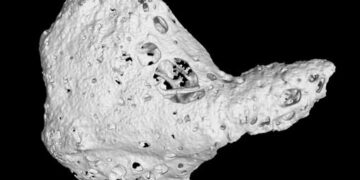 Descubrimiento indica que los chimpancés tienen un hueso en el corazón