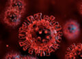 México supera las 24 mil muertes por coronavirus