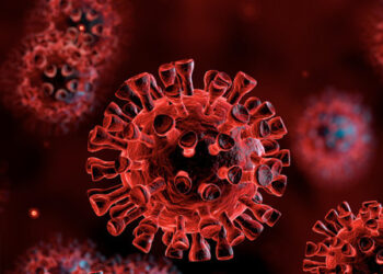 México supera las 24 mil muertes por coronavirus
