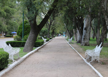 Reapertura de parques municipales fomenta la actividad física