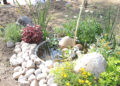 Avanza proyecto ambientalista en Morales