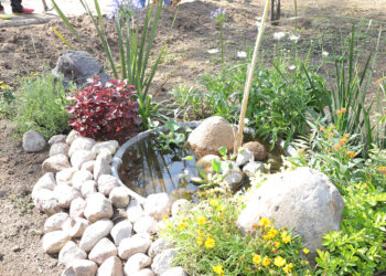 Avanza proyecto ambientalista en Morales