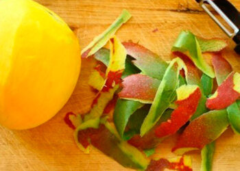 IPN descubre que cáscara de mango sirve como cicatrizante y antibacterial
