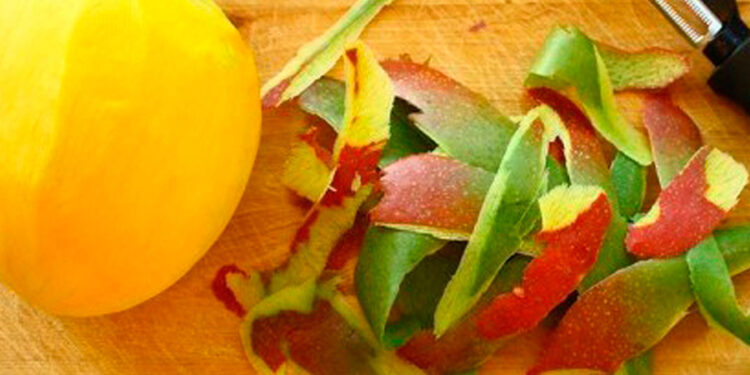 IPN descubre que cáscara de mango sirve como cicatrizante y antibacterial