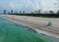 Tras cierre por covid-19 reabren con restricciones playas en Miami, Florida