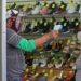 México autoriza nuevas actividades pero con limitaciones por pandemia