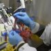 Rusia registra segundo medicamento para tratamiento de COVID19