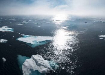 La pandemia es una oportunidad para atacar el calentamiento global