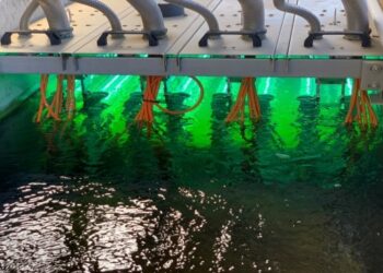 Detectan COVID19 en aguas residuales de Barcelona captadas desde 2019